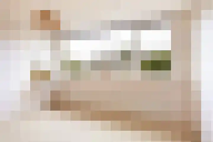 Jan Sluijtersstraat 21 Woerden thumbnail 21