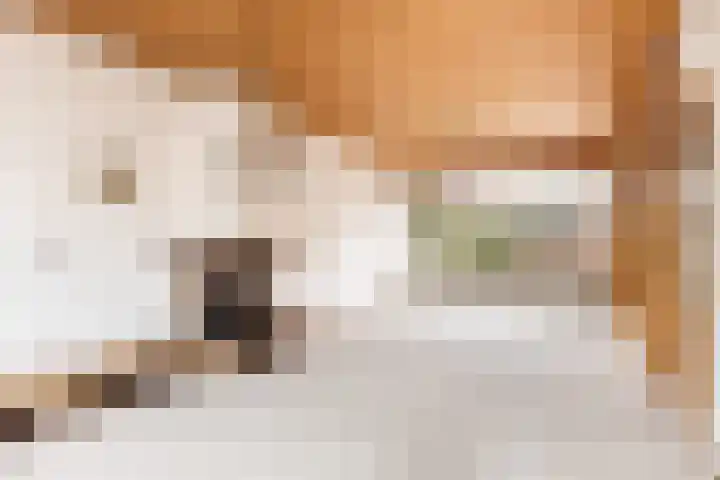 Jan Sluijtersstraat 21 Woerden thumbnail 4