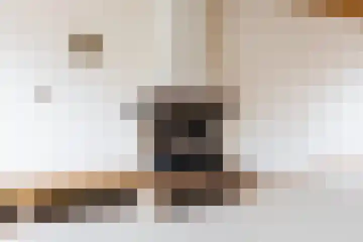 Jan Sluijtersstraat 21 Woerden thumbnail 5