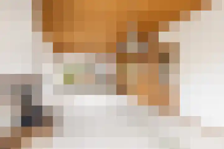 Jan Sluijtersstraat 21 Woerden thumbnail 6