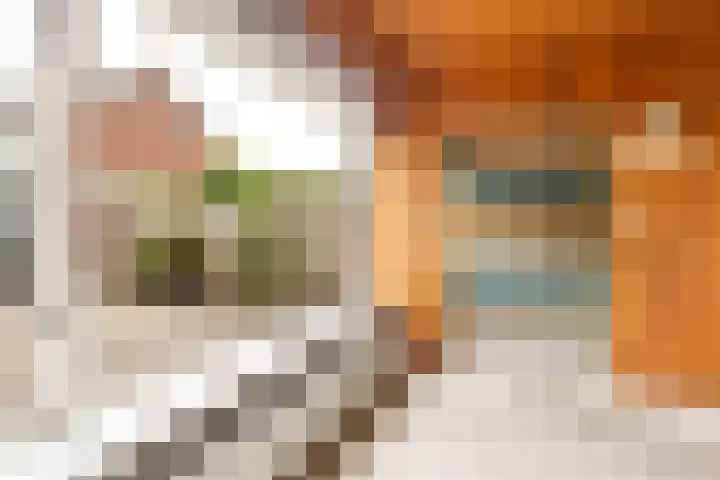 Jan Sluijtersstraat 21 Woerden thumbnail 7