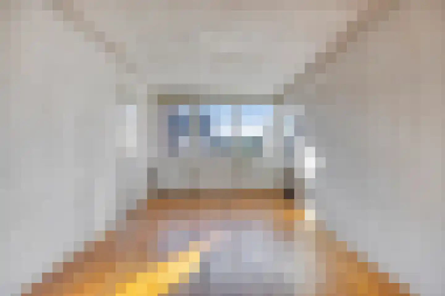 Jan Sluijtersstraat 25 Boxmeer thumbnail 13