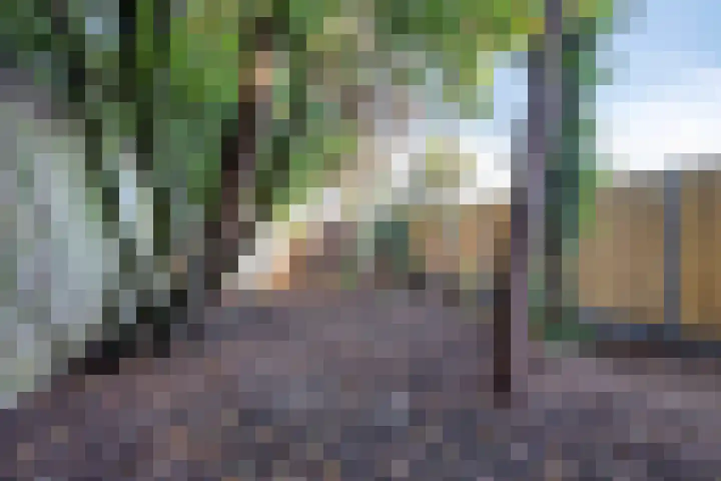 Jan Sluijtersstraat 25 Boxmeer thumbnail 21