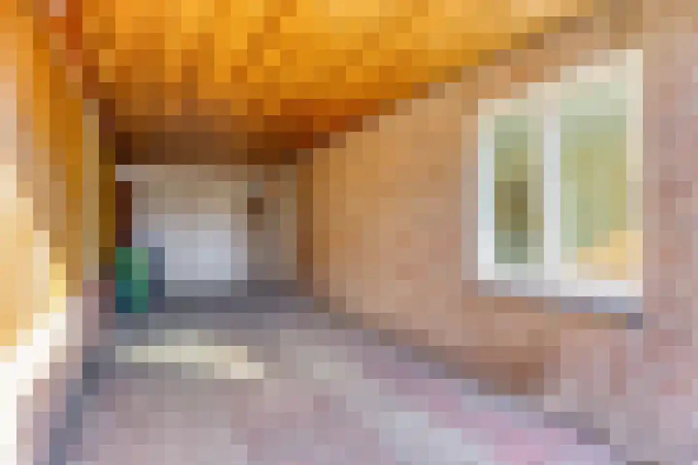 Jan Sluijtersstraat 25 Boxmeer thumbnail 4