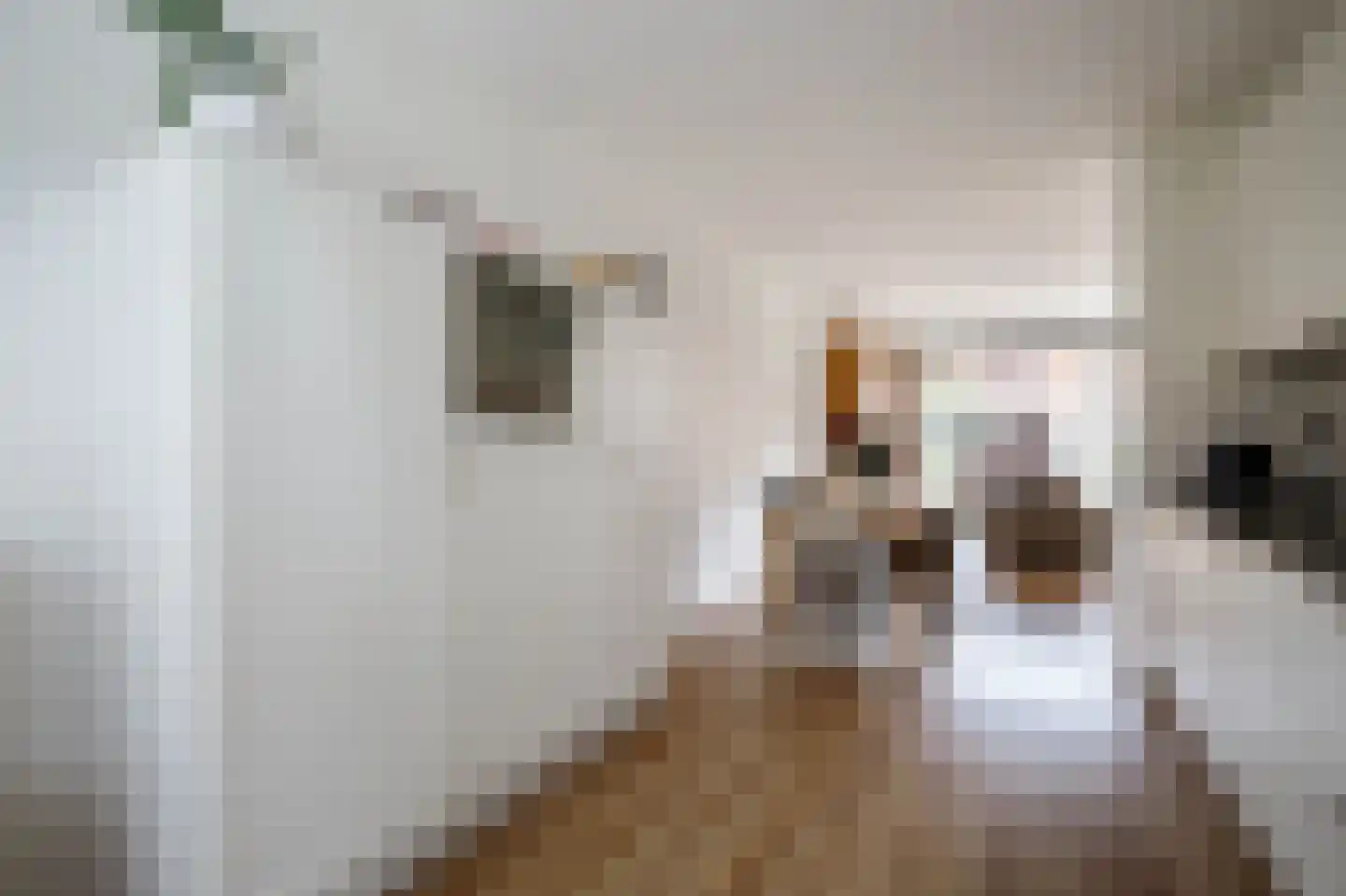 Jan Sluijtersstraat 26 Rotterdam thumbnail 15