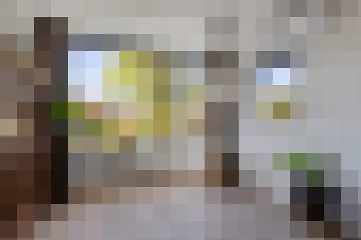 Jan Sluijtersstraat 26 Woerden thumbnail 14