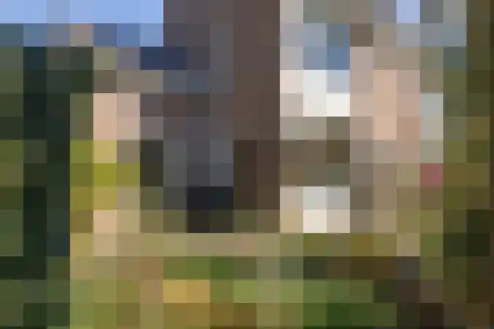 Jan Sluijtersstraat 26 Woerden thumbnail 5