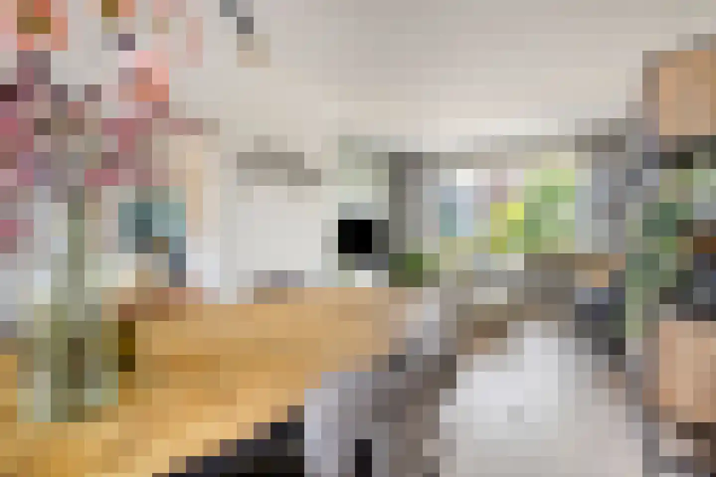 Jan Sluijtersstraat 3 Boxmeer thumbnail 18