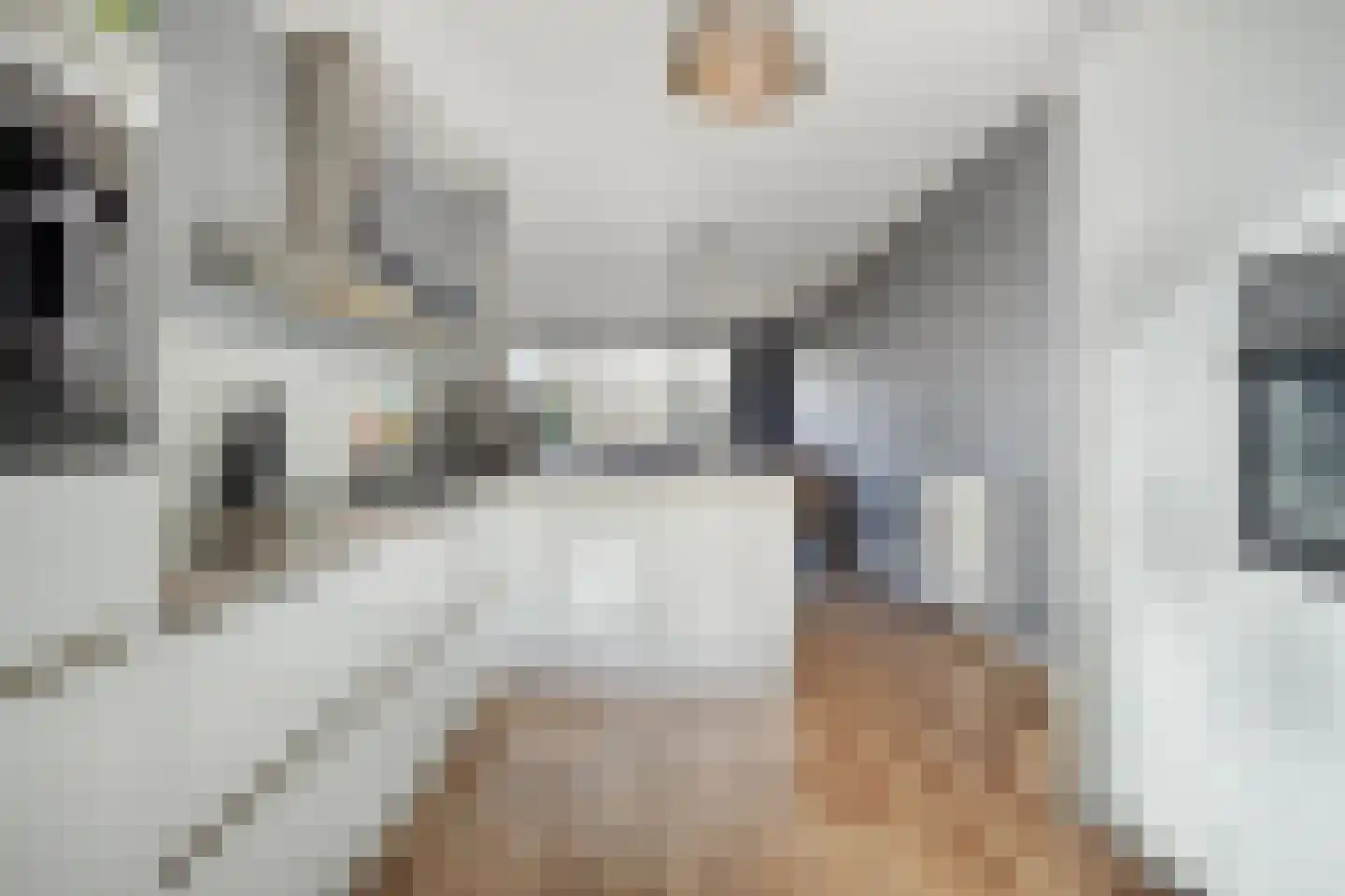 Jan Sluijtersstraat 45 Rotterdam thumbnail 13