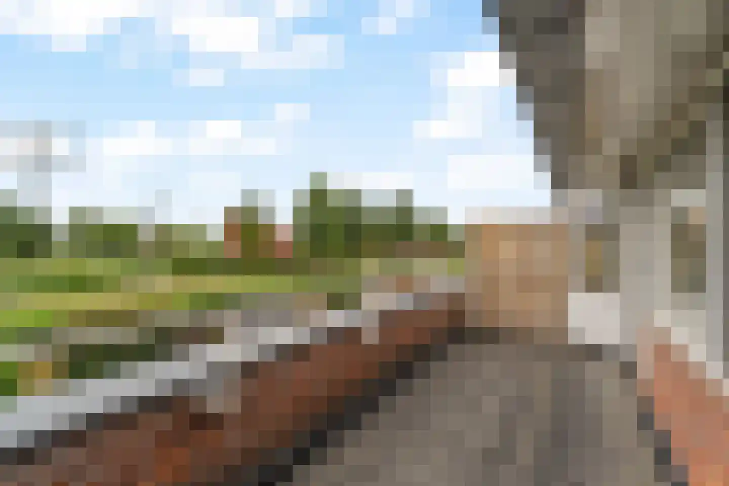 Jan Sluijtersstraat 45 Rotterdam thumbnail 23