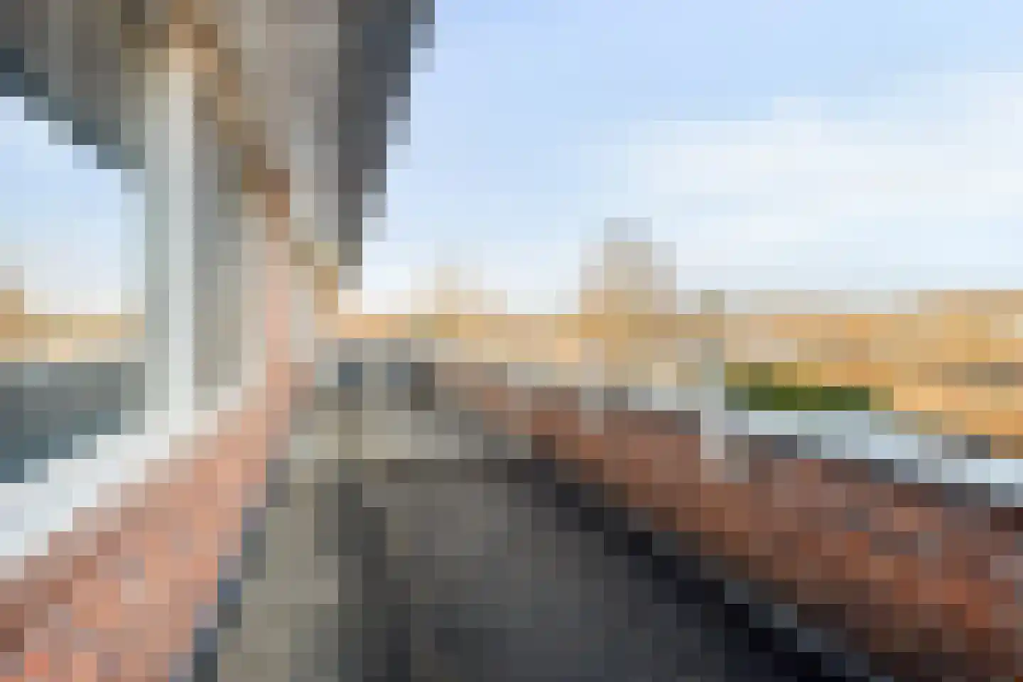 Jan Sluijtersstraat 45 Rotterdam thumbnail 28