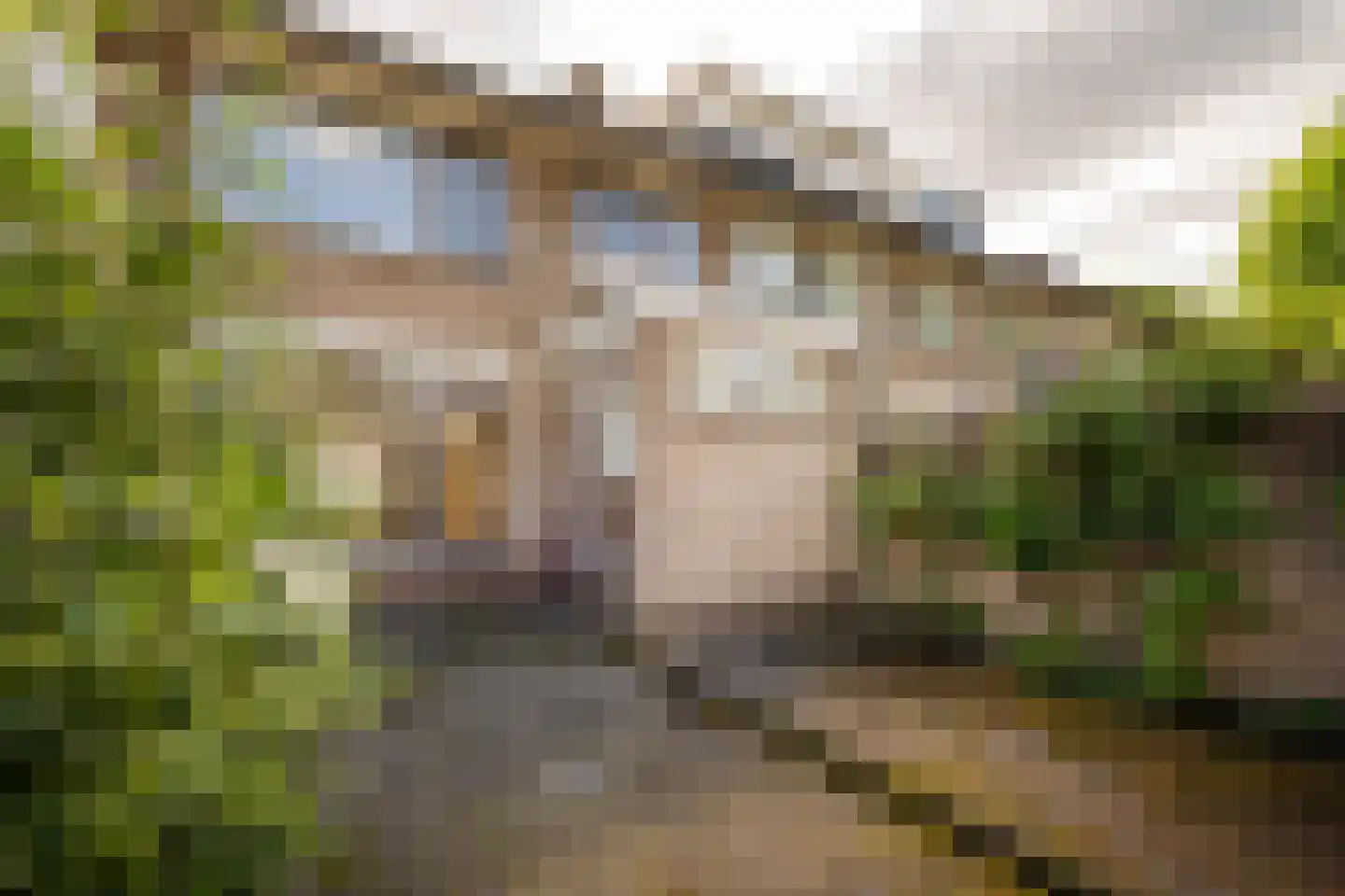 Jan Sluijtersstraat 47 Roosendaal thumbnail 25