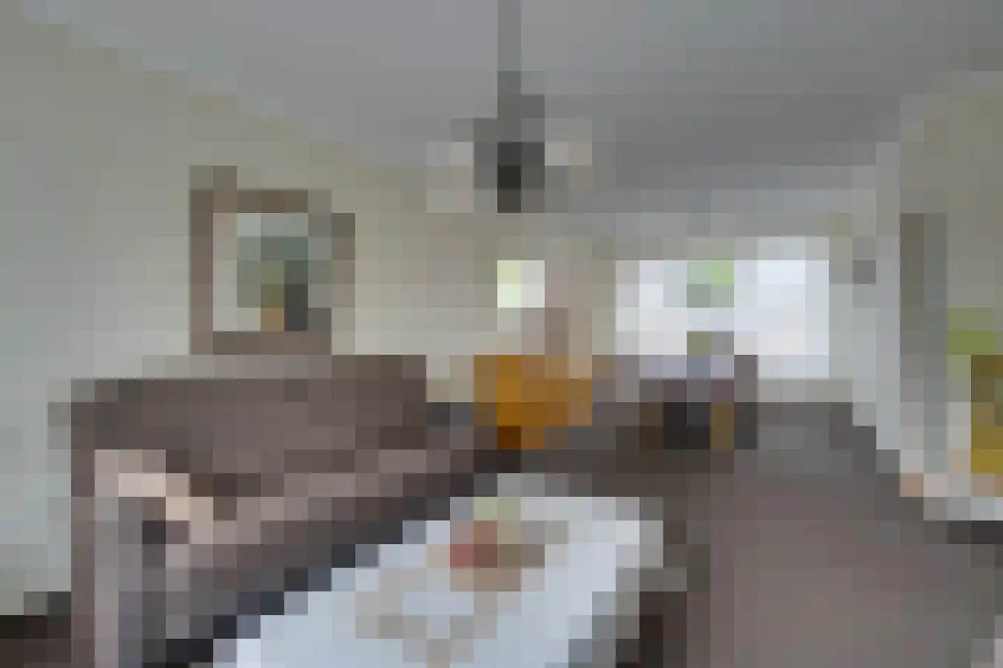 Jan Sluiterstraat 67 Volendam thumbnail 11