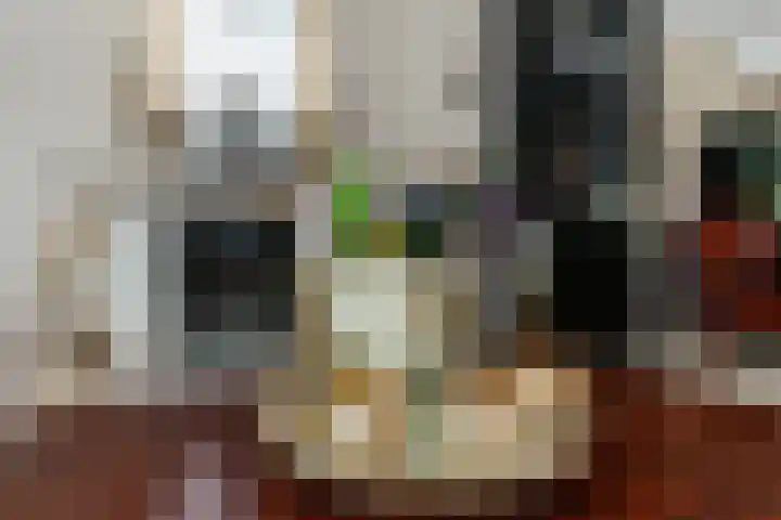 Jan Sluytersstraat 14 Papendrecht thumbnail 11