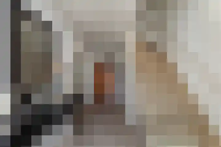 Jan Sluytersstraat 14 Papendrecht thumbnail 4