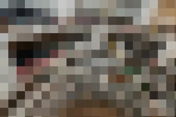 Jan Sluytersstraat 14 Papendrecht thumbnail 44