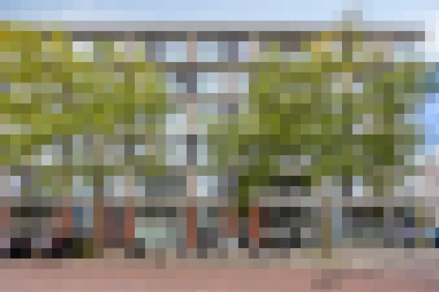 Jan Smitstraat 16 Amsterdam thumbnail 23
