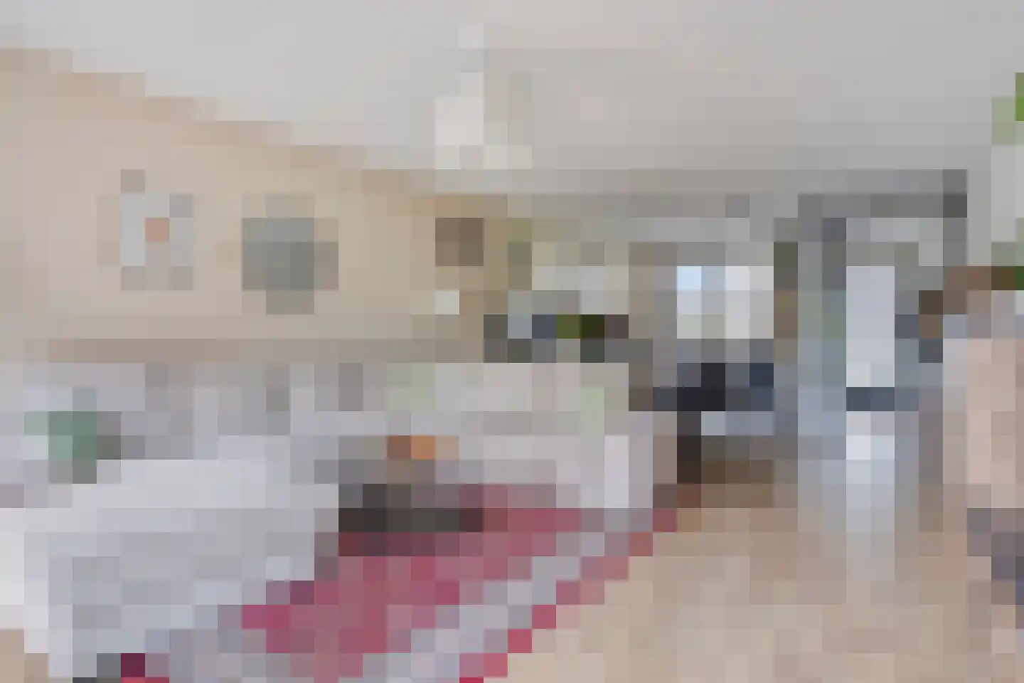 Jan Smitstraat 16 Amsterdam thumbnail 5