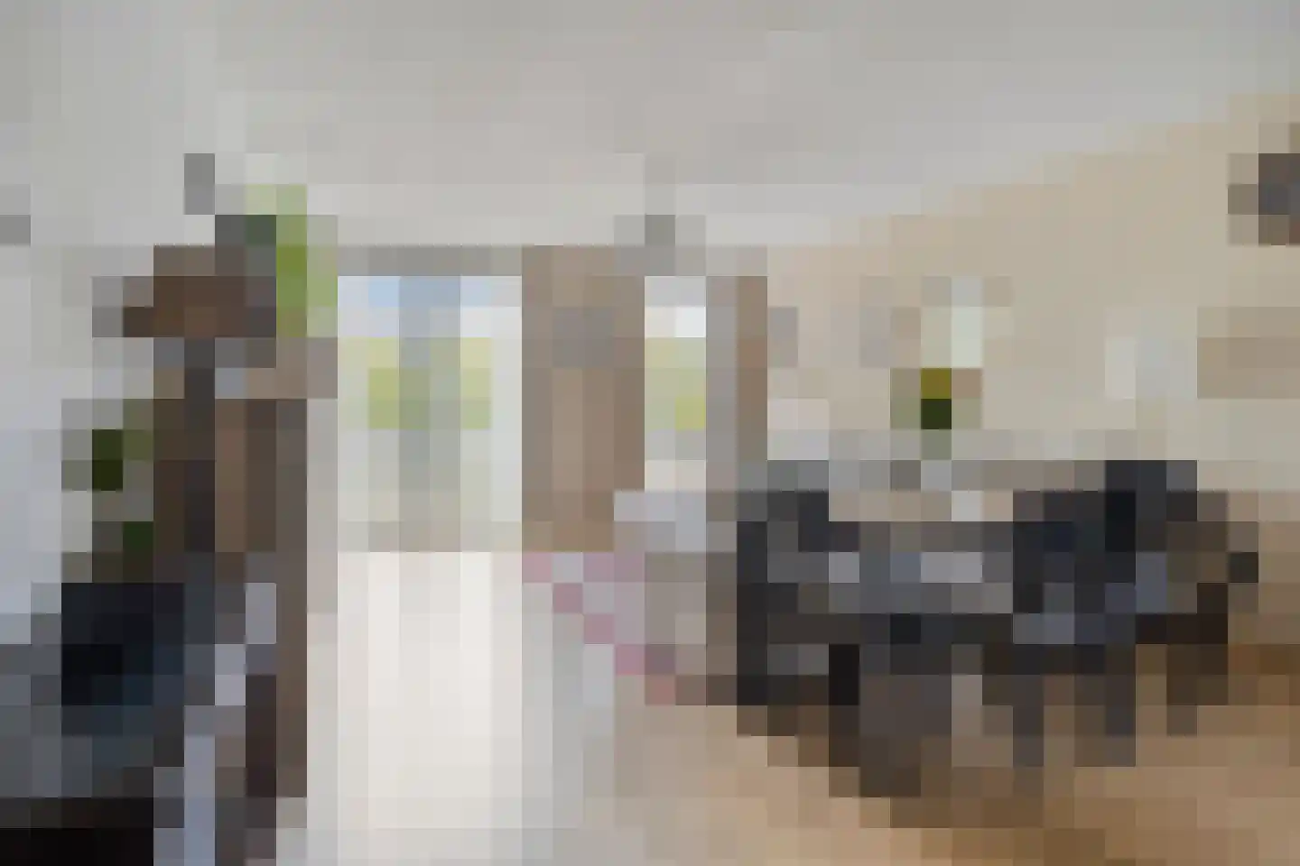 Jan Smitstraat 16 Amsterdam thumbnail 6