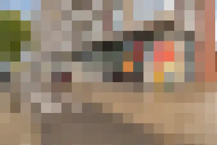 Jan Smitstraat 26 Amsterdam thumbnail 35