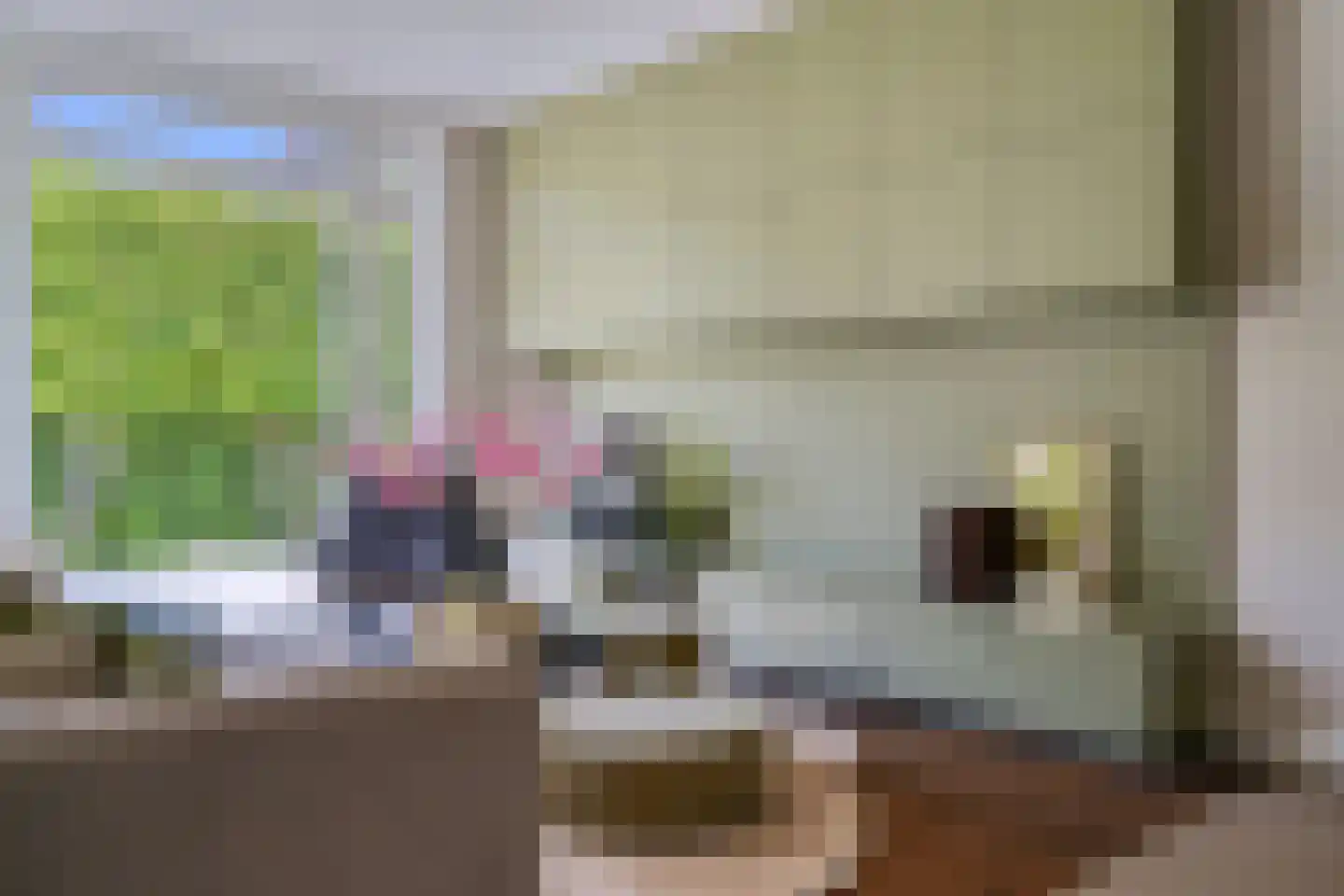 Jan Smitzlaan 20 Eindhoven thumbnail 10