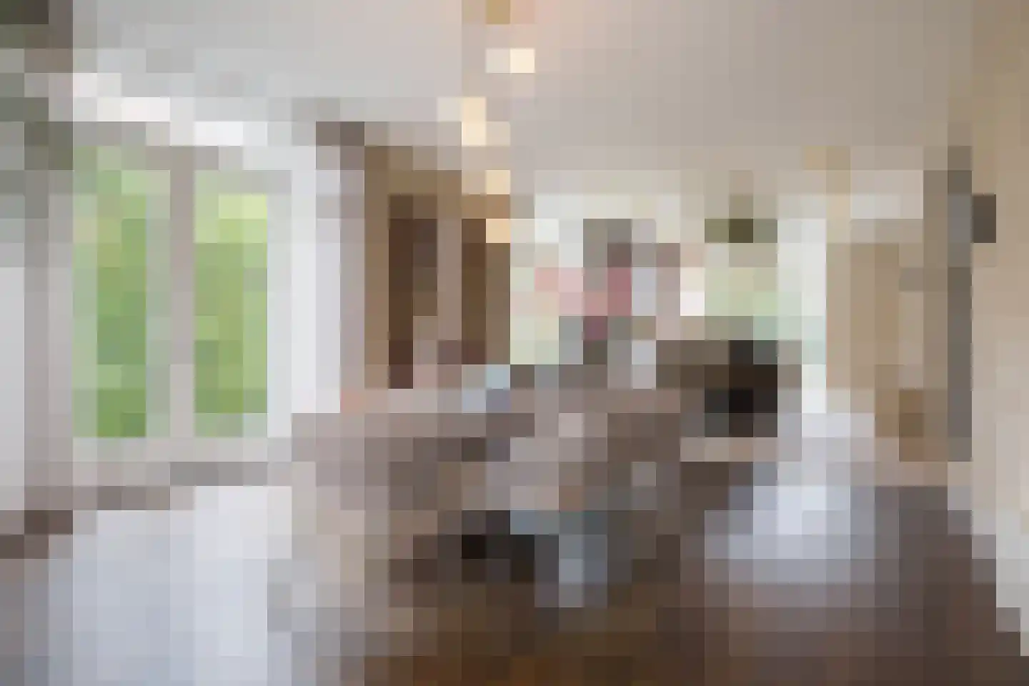 Jan Smitzlaan 20 Eindhoven thumbnail 14