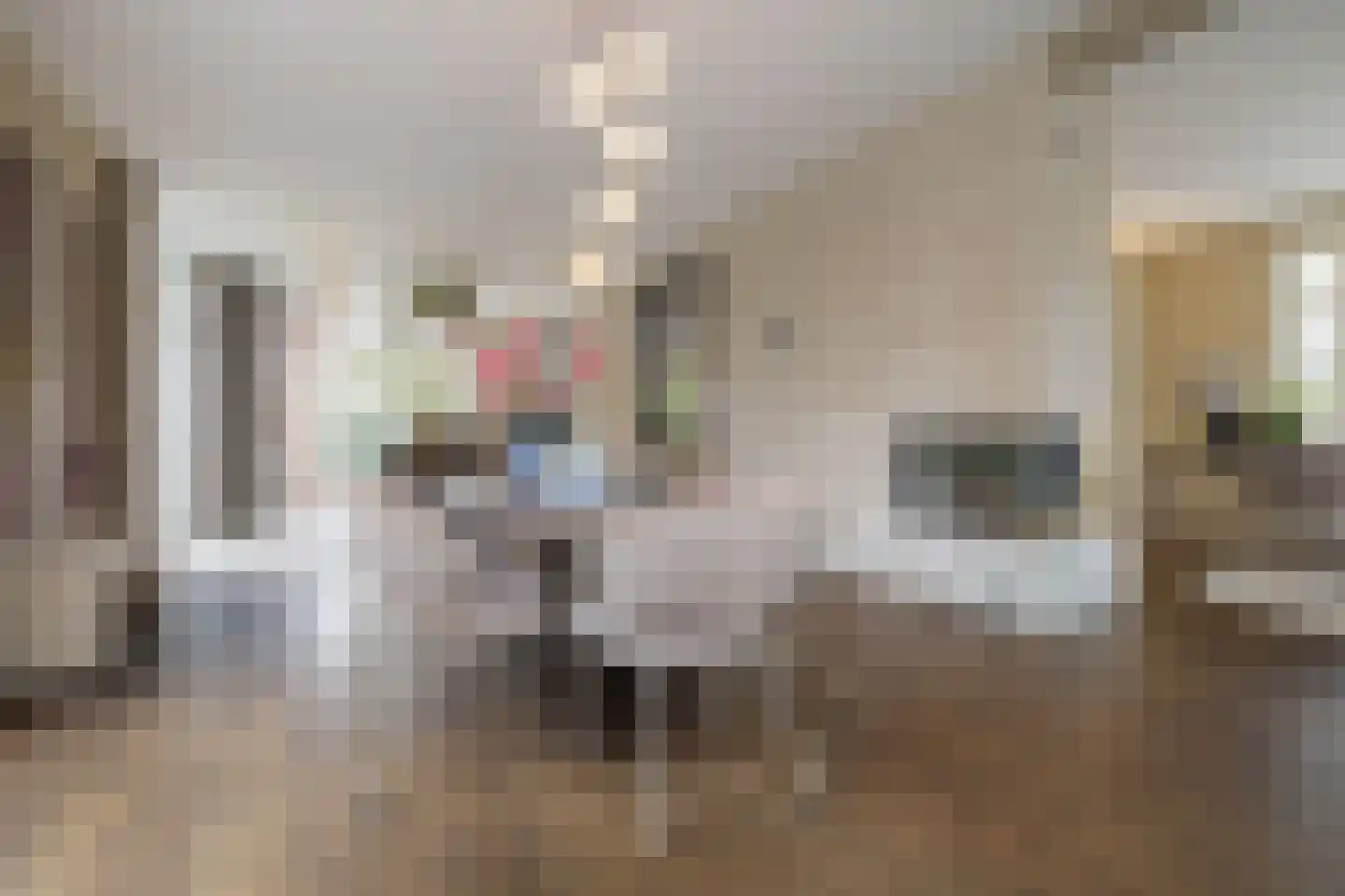 Jan Smitzlaan 20 Eindhoven thumbnail 15