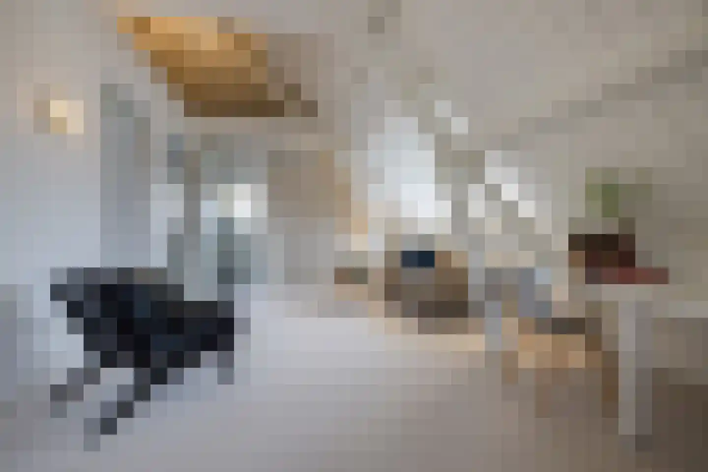 Jan Smitzlaan 20 Eindhoven thumbnail 37