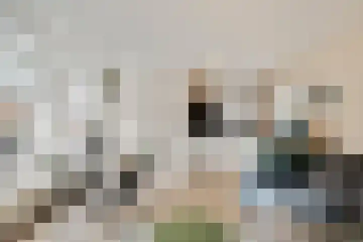 Jan Smitzlaan 6 D Eindhoven thumbnail 10