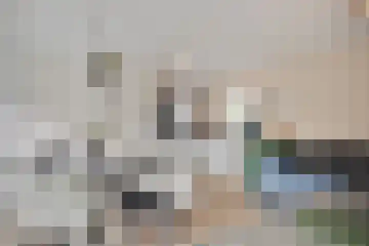 Jan Smitzlaan 6 D Eindhoven thumbnail 11