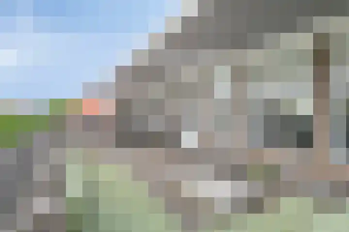 Jan Smitzlaan 6 D Eindhoven thumbnail 18