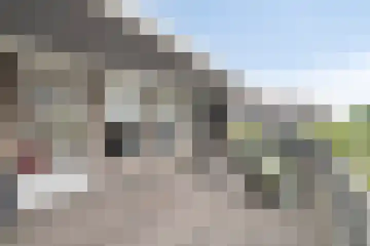Jan Smitzlaan 6 D Eindhoven thumbnail 22