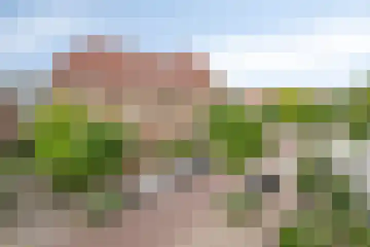 Jan Smitzlaan 6 D Eindhoven thumbnail 23