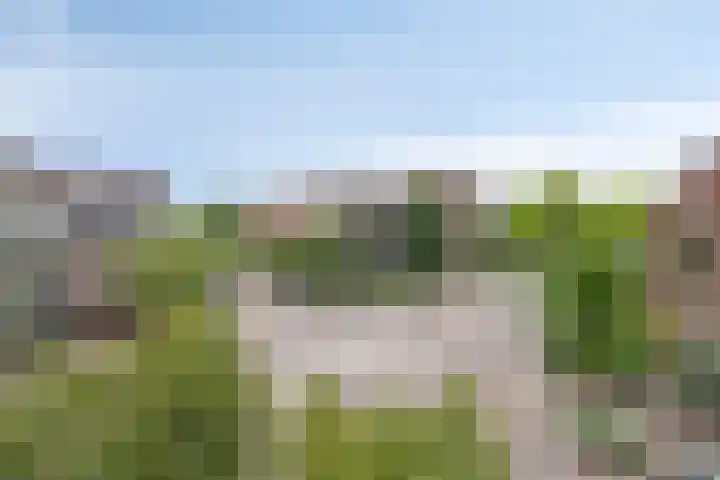 Jan Smitzlaan 6 D Eindhoven thumbnail 24