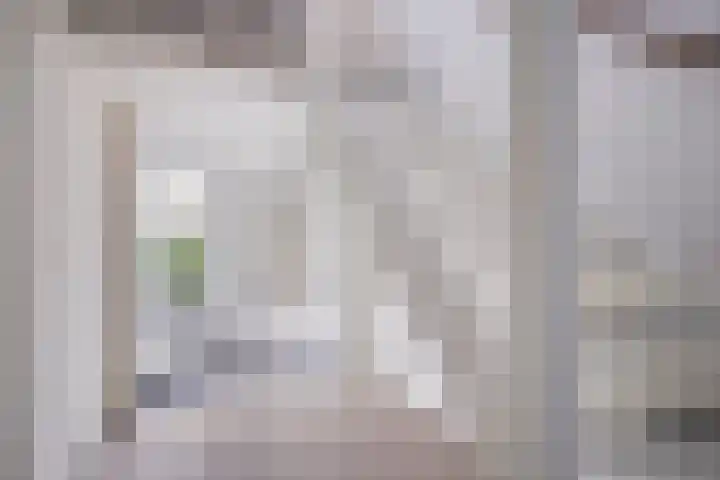 Jan Smitzlaan 6 D Eindhoven thumbnail 5