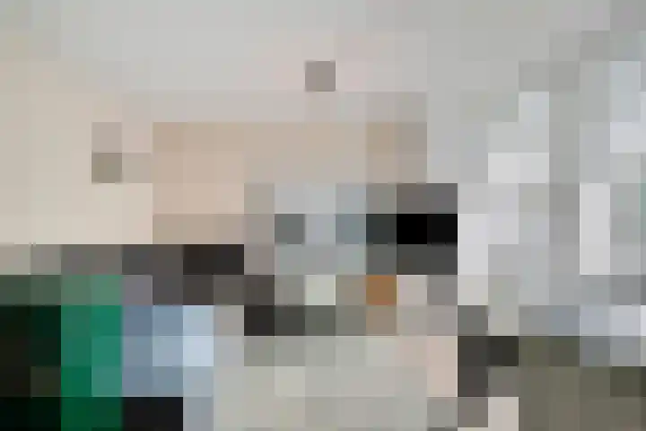 Jan Smitzlaan 6 D Eindhoven thumbnail 8