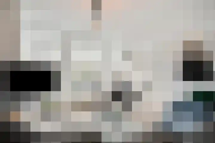 Jan Smitzlaan 6 D Eindhoven thumbnail 9
