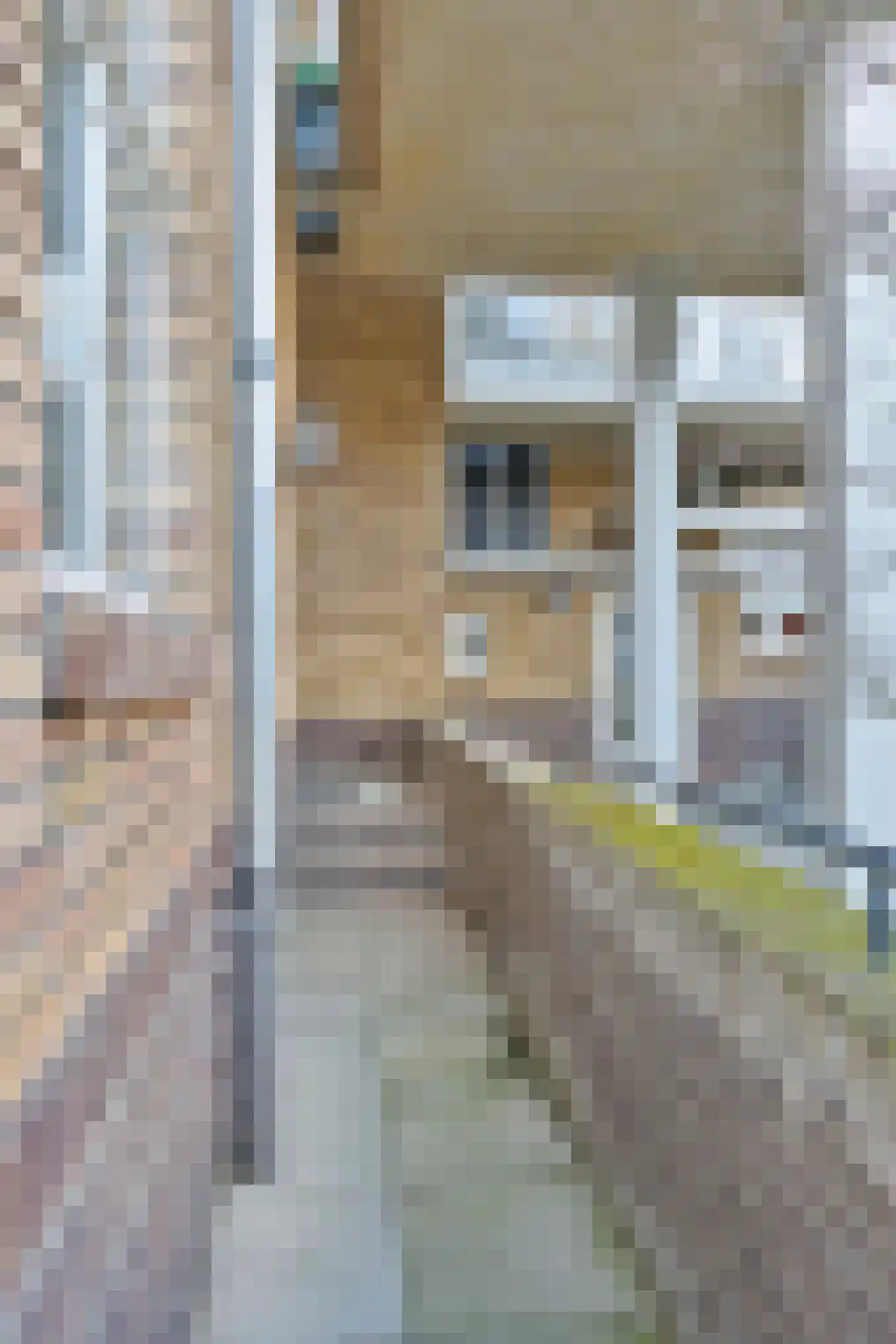 Jan Smitzlaan 9 03 Eindhoven thumbnail 32