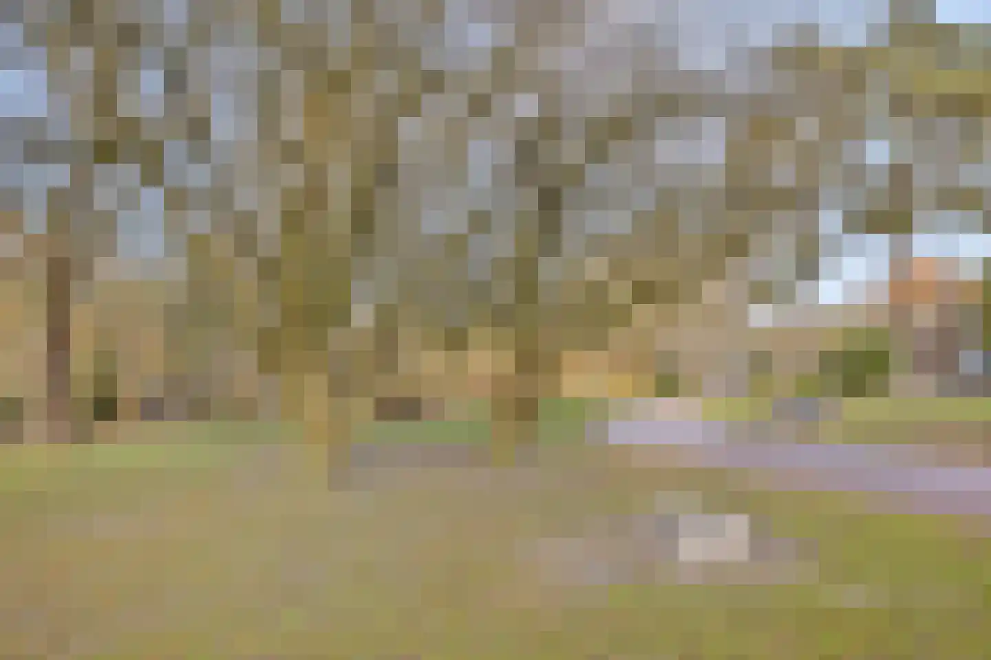 Jan Smitzlaan 9 03 Eindhoven thumbnail 39