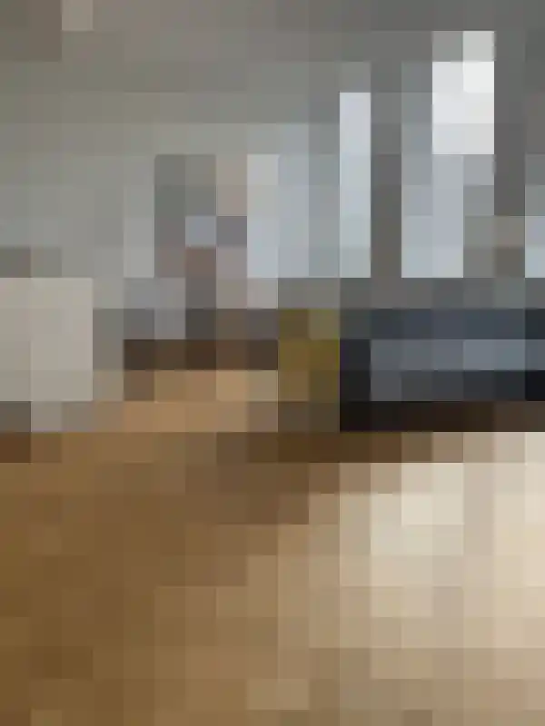 Jan Smitzlaan 9 Eindhoven thumbnail 4