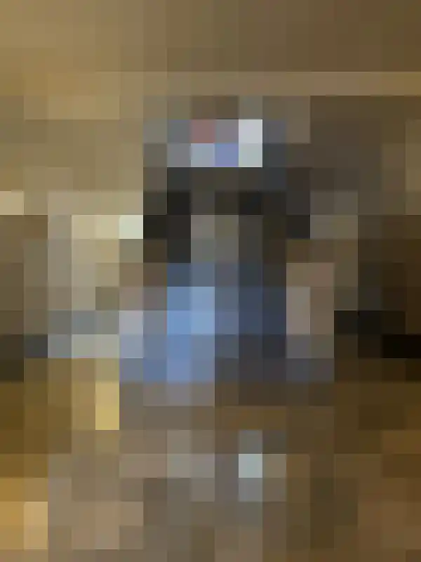 Jan Smitzlaan 9 Eindhoven thumbnail 8