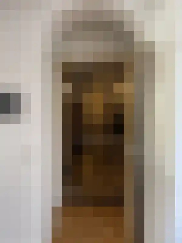 Jan Smitzlaan 9 Eindhoven thumbnail 9