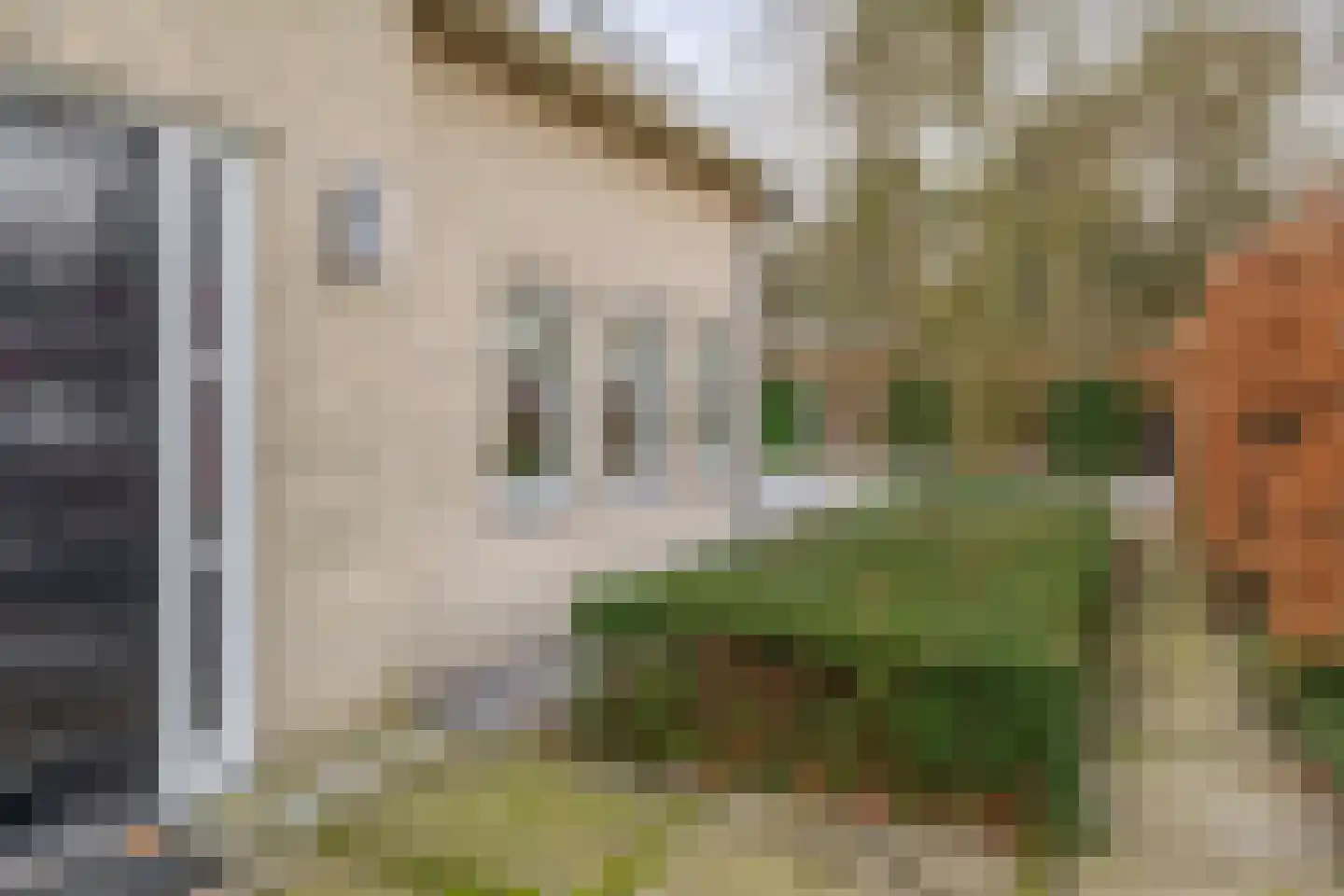 Jan Smuldersstraat 52 Vessem thumbnail 48