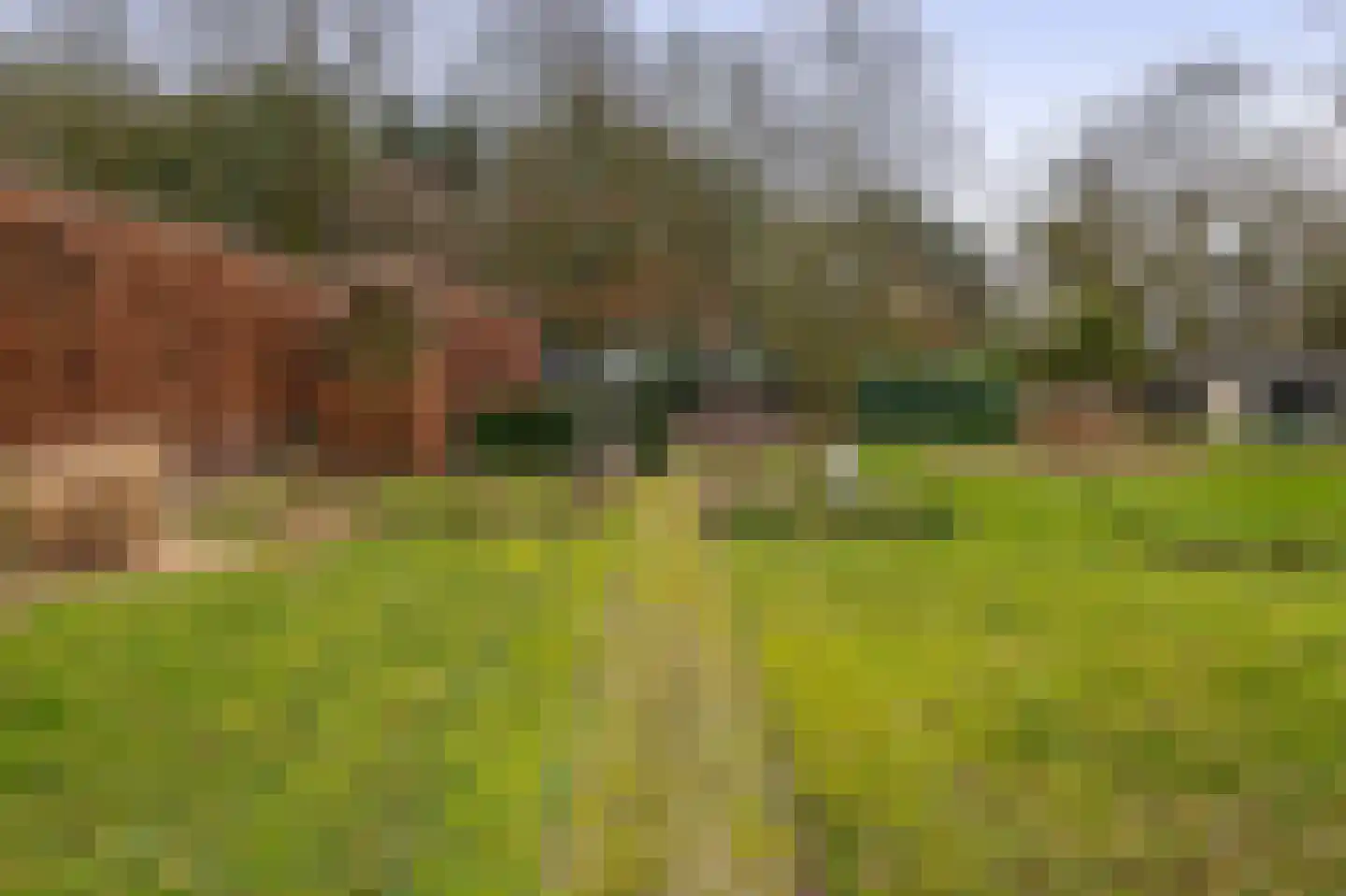Jan Smuldersstraat 52 Vessem thumbnail 62