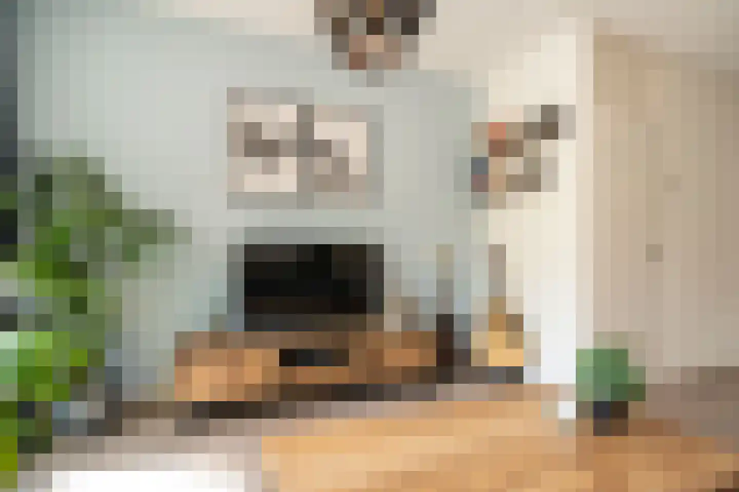 Jan Snouckstraat 9 Schelluinen thumbnail 10