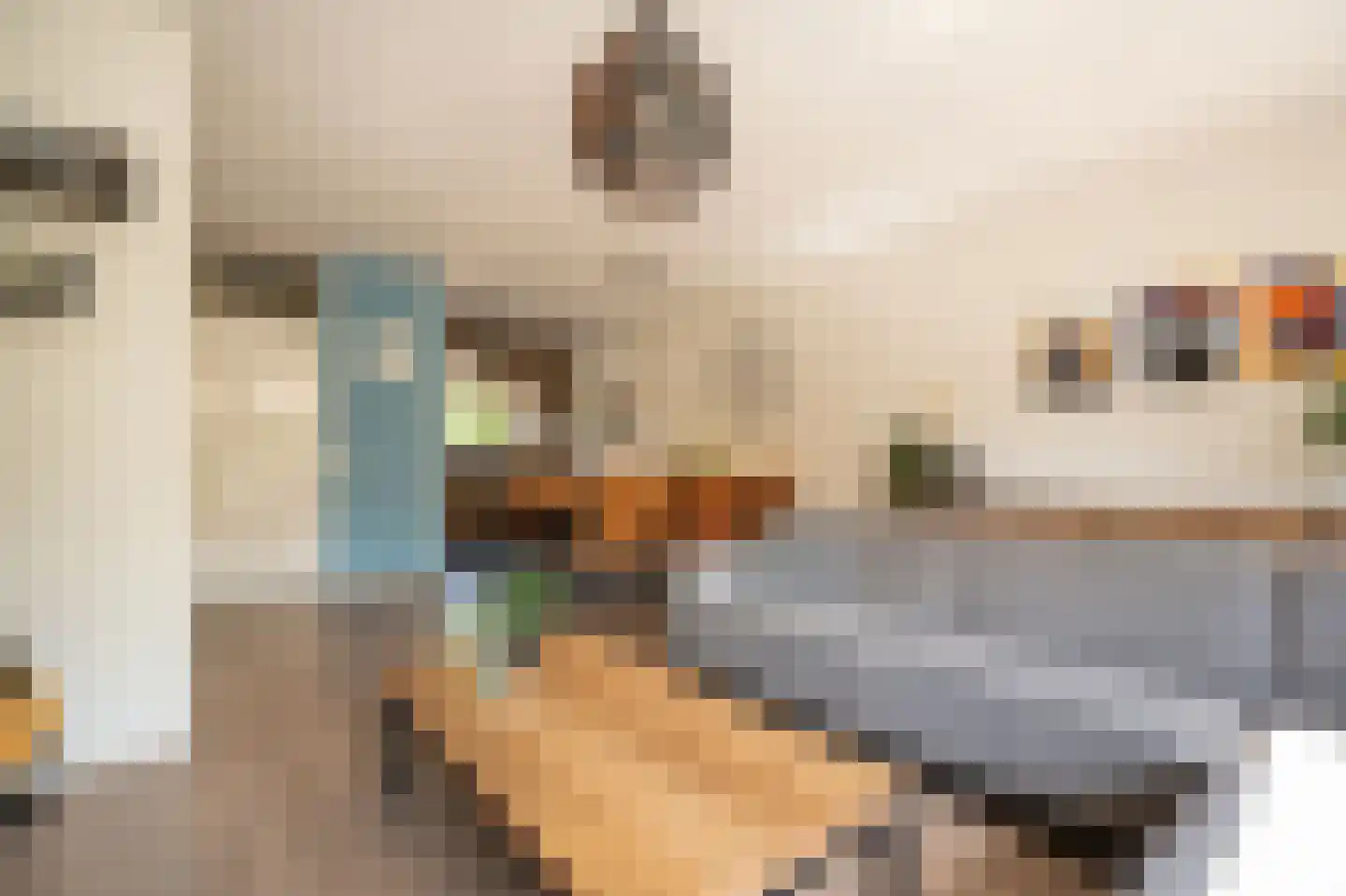 Jan Snouckstraat 9 Schelluinen thumbnail 11