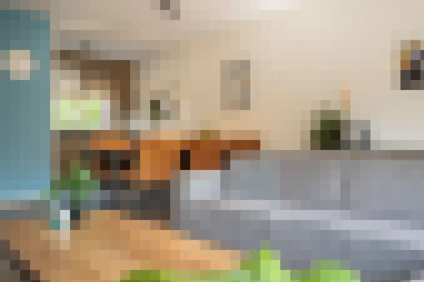 Jan Snouckstraat 9 Schelluinen thumbnail 12