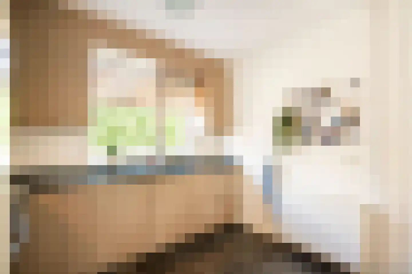 Jan Snouckstraat 9 Schelluinen thumbnail 14