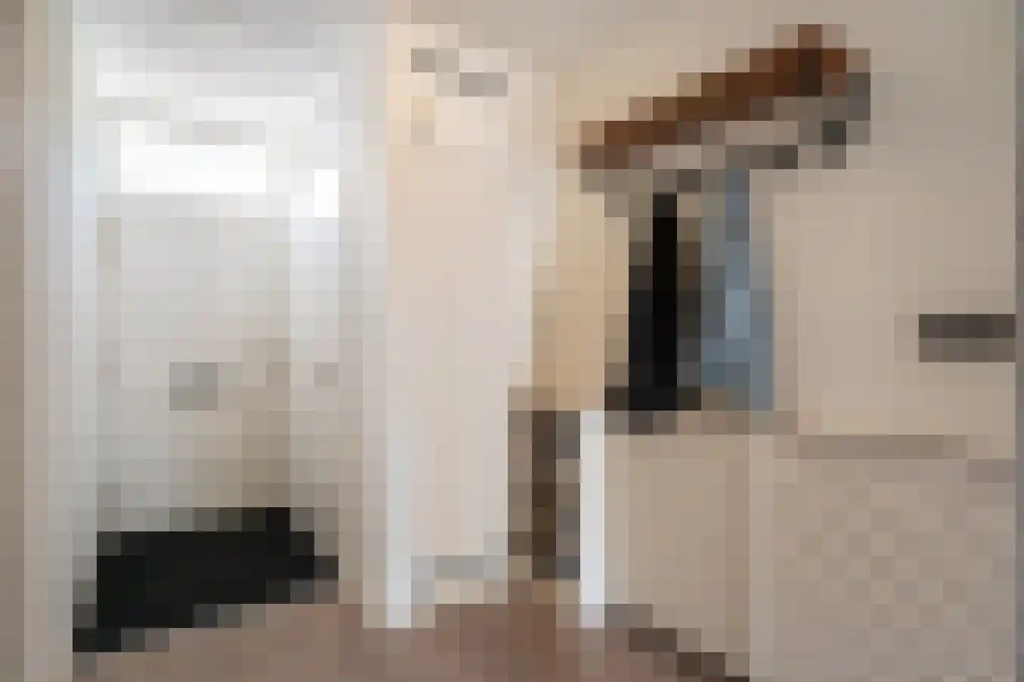 Jan Snouckstraat 9 Schelluinen thumbnail 17