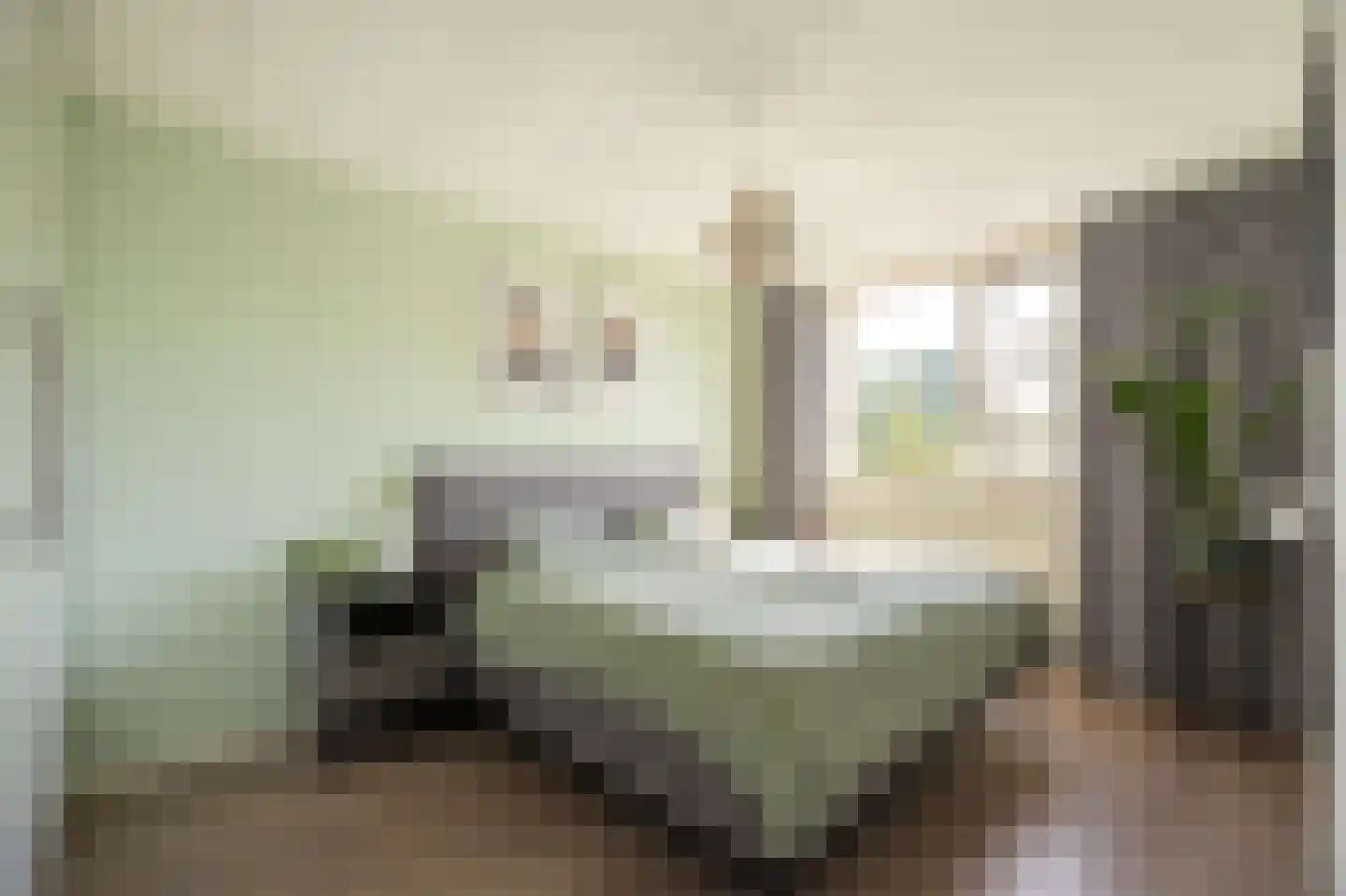 Jan Snouckstraat 9 Schelluinen thumbnail 19